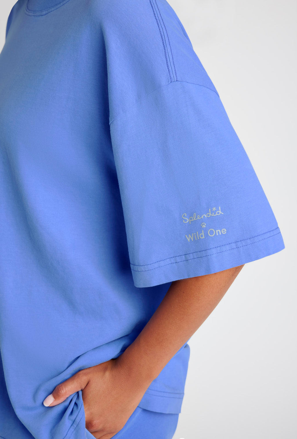 Splendid x Wild One All-Gender Boxy Tee